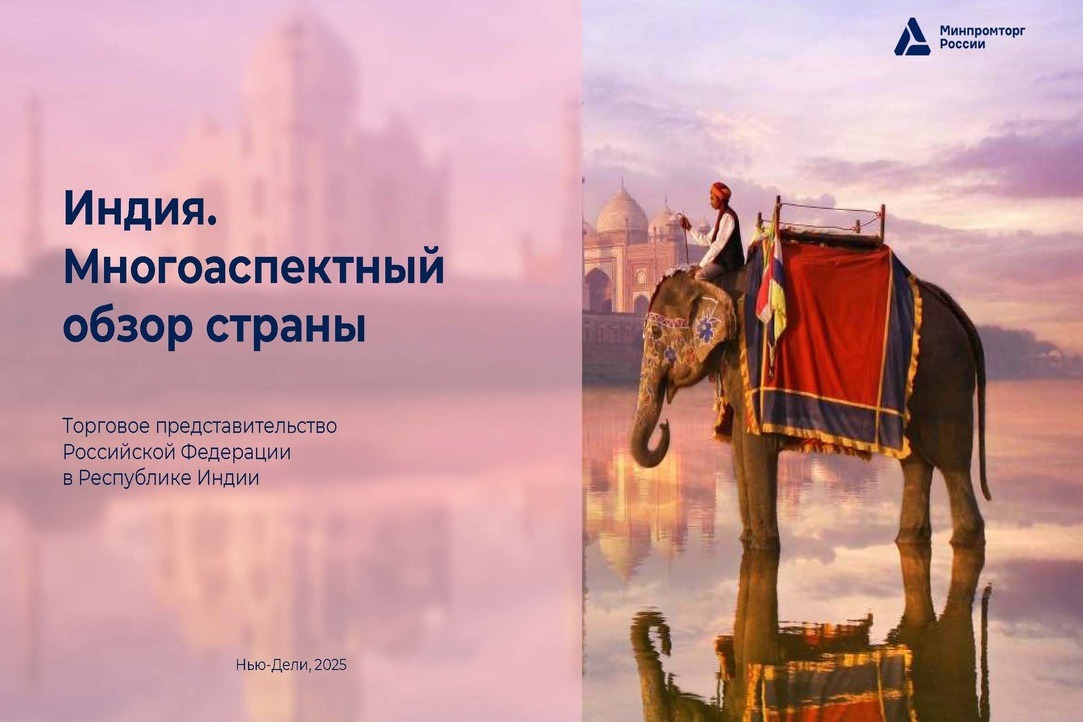 Иллюстрация к новости: В рамках образовательной программы «Скейларатор Национальных чемпионов, 2025» состоялся телемост с консультантом Торгового представительства Российской Федерации в Индии Андреем Подчуфаровым